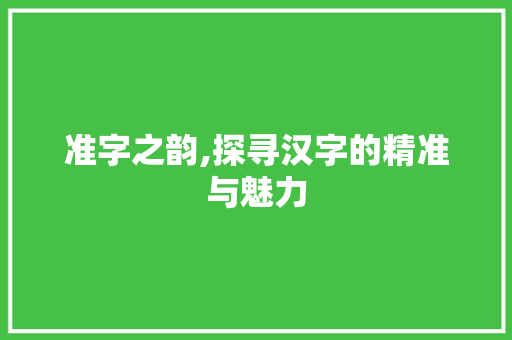 准字之韵,探寻汉字的精准与魅力