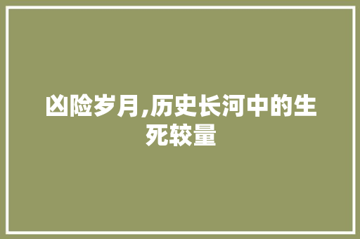凶险岁月,历史长河中的生死较量