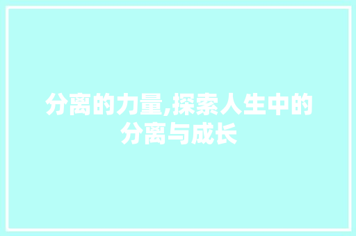 分离的力量,探索人生中的分离与成长