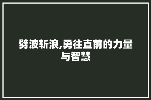 劈波斩浪,勇往直前的力量与智慧