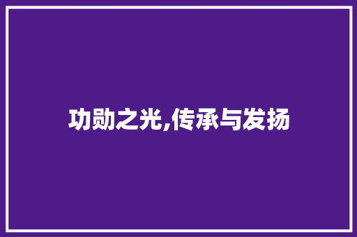 功勋之光,传承与发扬