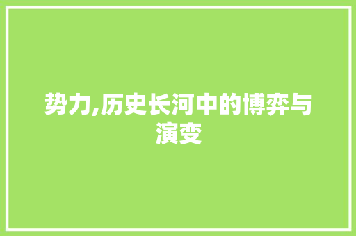 势力,历史长河中的博弈与演变
