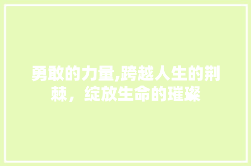勇敢的力量,跨越人生的荆棘，绽放生命的璀璨