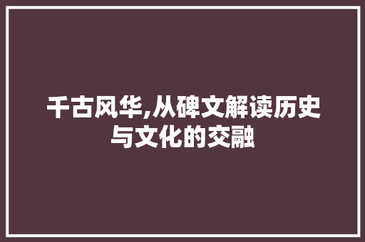 千古风华,从碑文解读历史与文化的交融