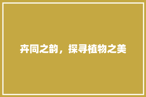 卉同之韵，探寻植物之美