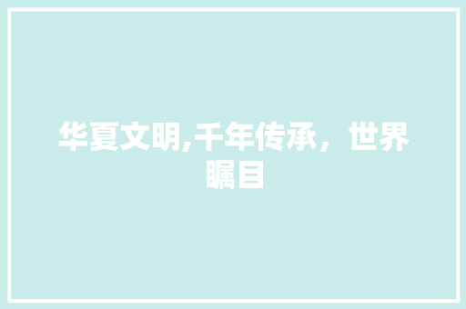 华夏文明,千年传承，世界瞩目
