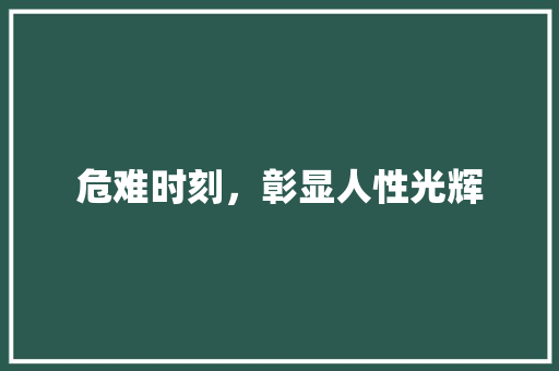 危难时刻，彰显人性光辉