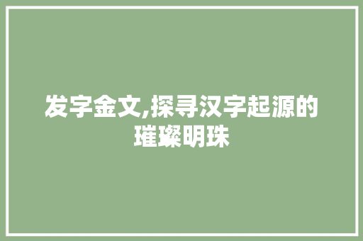 发字金文,探寻汉字起源的璀璨明珠