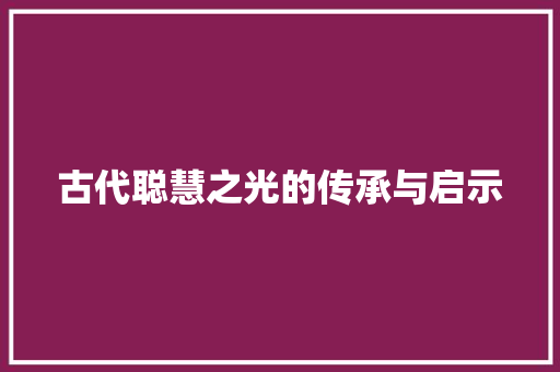 古代聪慧之光的传承与启示