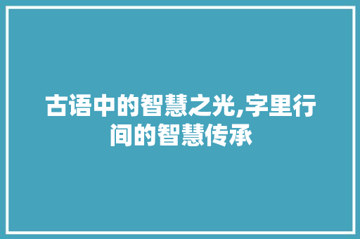 古语中的智慧之光,字里行间的智慧传承