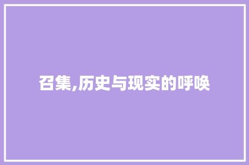 召集,历史与现实的呼唤