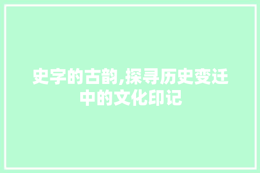 史字的古韵,探寻历史变迁中的文化印记