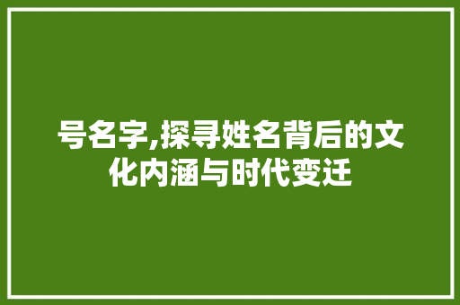 号名字,探寻姓名背后的文化内涵与时代变迁