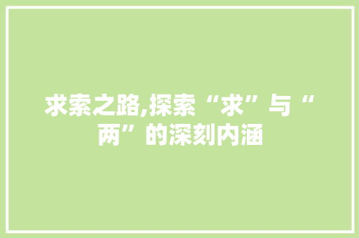 求索之路,探索“求”与“两”的深刻内涵