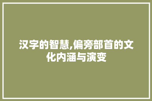 汉字的智慧,偏旁部首的文化内涵与演变