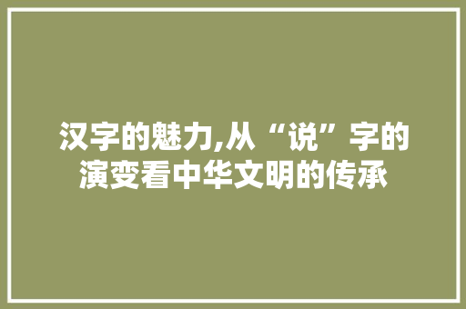 汉字的魅力,从“说”字的演变看中华文明的传承