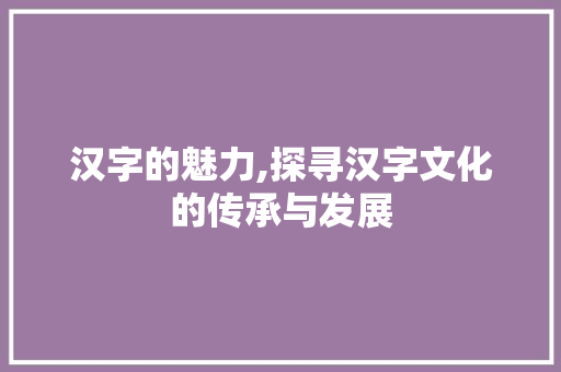 汉字的魅力,探寻汉字文化的传承与发展