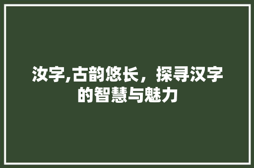 汝字,古韵悠长，探寻汉字的智慧与魅力