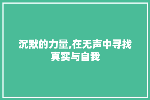 沉默的力量,在无声中寻找真实与自我