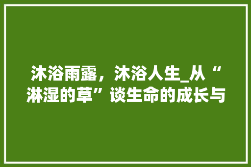 沐浴雨露，沐浴人生_从“淋湿的草”谈生命的成长与坚韧
