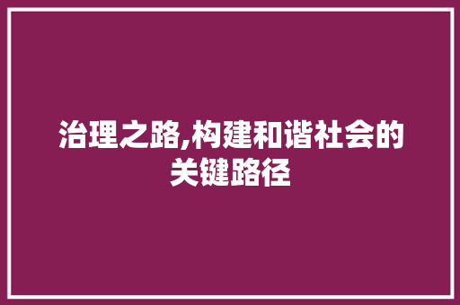 治理之路,构建和谐社会的关键路径