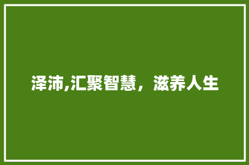 泽沛,汇聚智慧，滋养人生