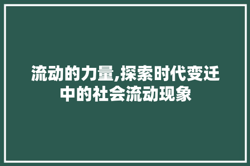 流动的力量,探索时代变迁中的社会流动现象