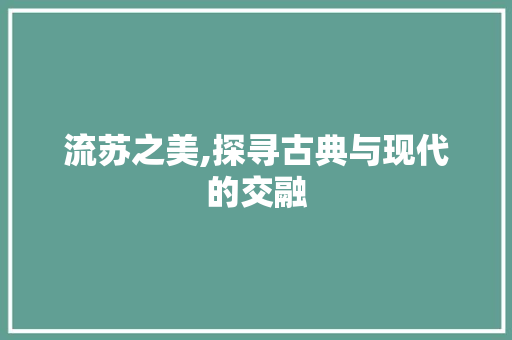 流苏之美,探寻古典与现代的交融