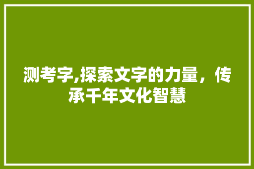 测考字,探索文字的力量，传承千年文化智慧