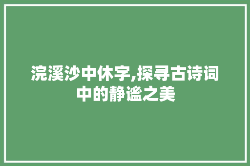 浣溪沙中休字,探寻古诗词中的静谧之美