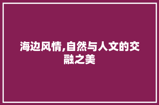海边风情,自然与人文的交融之美