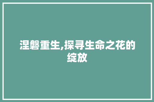 涅磐重生,探寻生命之花的绽放