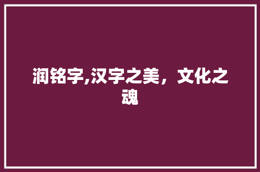 润铭字,汉字之美，文化之魂