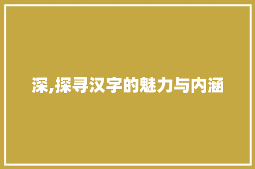 深,探寻汉字的魅力与内涵