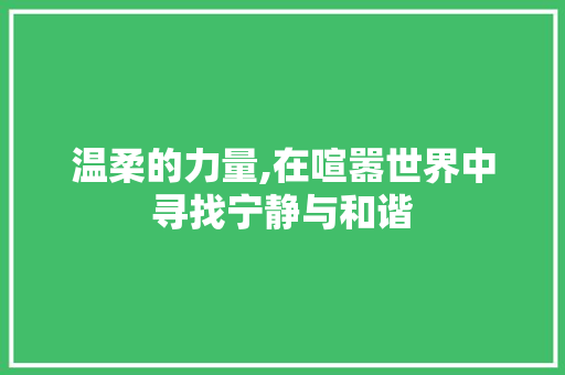 温柔的力量,在喧嚣世界中寻找宁静与和谐