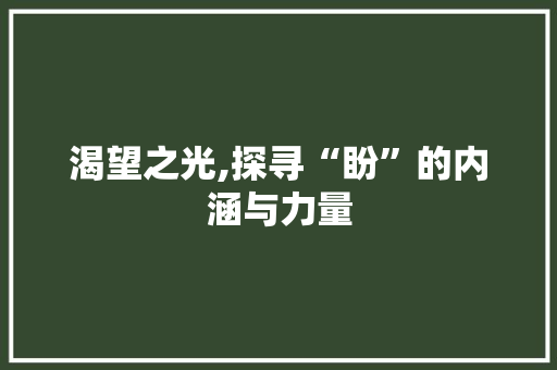 渴望之光,探寻“盼”的内涵与力量