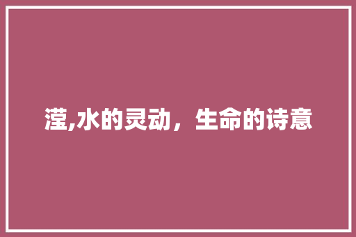 滢,水的灵动，生命的诗意