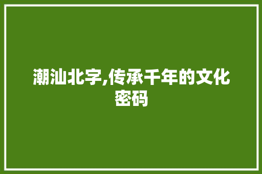 潮汕北字,传承千年的文化密码
