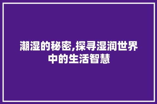 潮湿的秘密,探寻湿润世界中的生活智慧