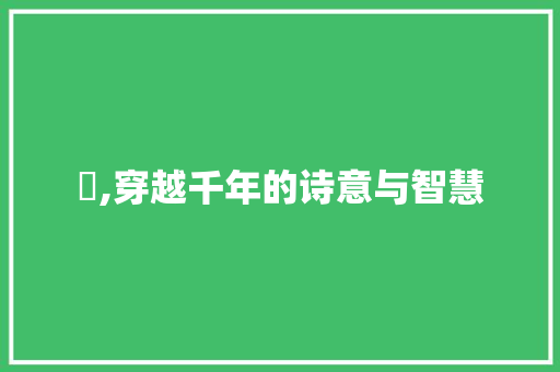 濎,穿越千年的诗意与智慧