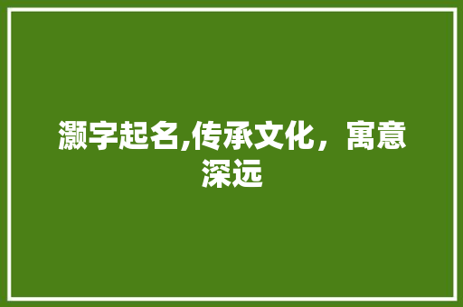 灏字起名,传承文化，寓意深远