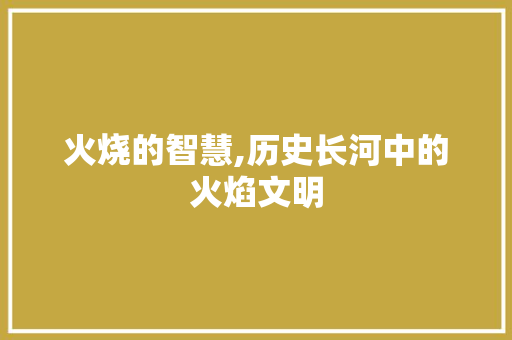 火烧的智慧,历史长河中的火焰文明