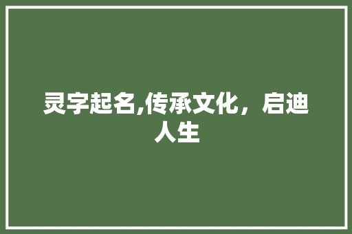 灵字起名,传承文化，启迪人生