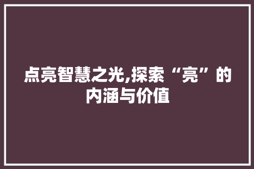 点亮智慧之光,探索“亮”的内涵与价值