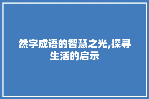 然字成语的智慧之光,探寻生活的启示