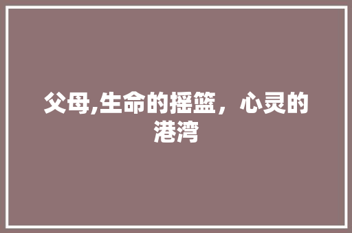 父母,生命的摇篮，心灵的港湾