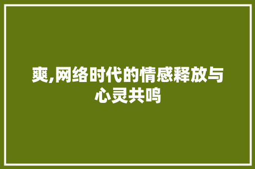 爽,网络时代的情感释放与心灵共鸣