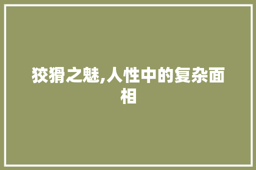 狡猾之魅,人性中的复杂面相