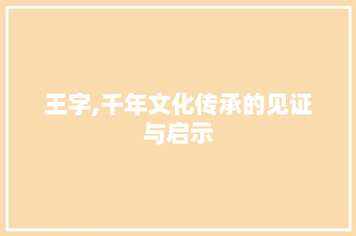 王字,千年文化传承的见证与启示
