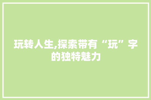 玩转人生,探索带有“玩”字的独特魅力